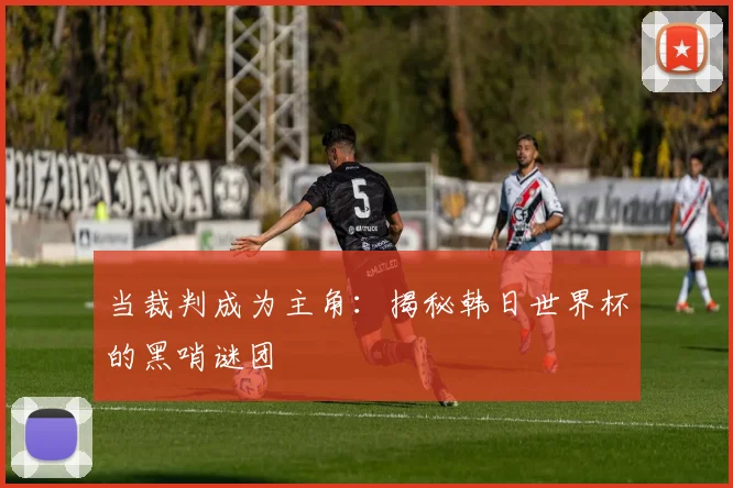 当裁判成为主角：揭秘韩日世界杯的黑哨谜团